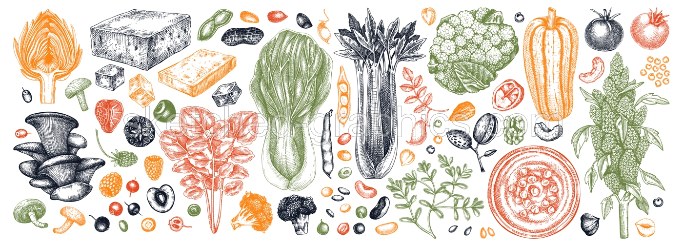 Vegan food illustrations set. Healthy food illustrations collection. Hand drawn vegan meals and ingredients for menu, recipe, packaging design. Vegan food, nuts, seeds, fruits, veggies, tofu sketches Illustration